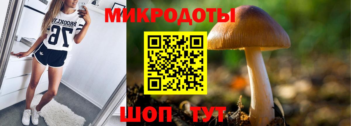 Псилоцибиновые грибы GOLDEN TEACHER  Вход с VPN  Петрозаводск 